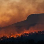 les effets du réchauffement climatique dans les grandes villes : solutions et préventions